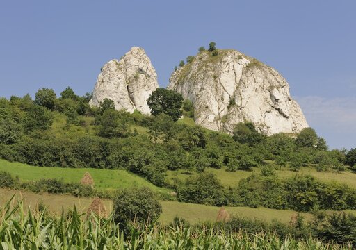 Piatra Corbului Nature Reserve, Romania, Europe