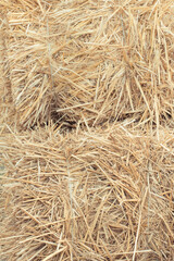 Bales of hay or straw. Background or wallpaper texture © ratmaner