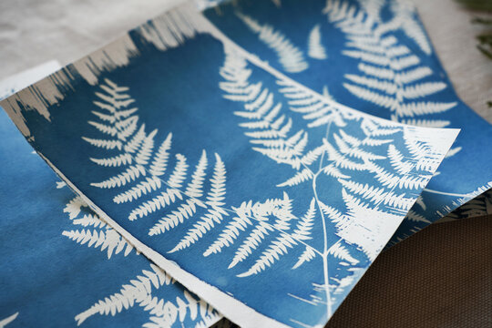 Stack of Cyanotype Fern Prints on Fabric