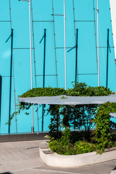 Minimal courtyard with planter and blue facade in Europe, with landscaped design and contemporary architecture defining a clean urban space
