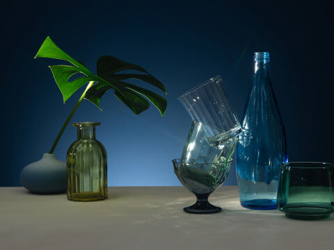 Glassware and Monstera Leaf