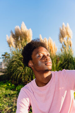 Enjoying Sunlight Outdoors
