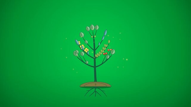 4K 2D animation showing the parametric growth process of a biodiversity conservation plant with diverse foliage, blooming yellow endemic flowers, and ripening berries on a calibrated chromakey green s