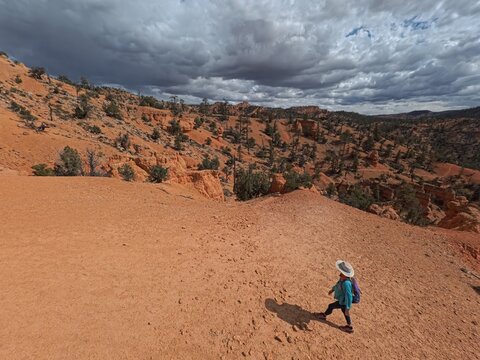 Aerial view of a mature woman hiking on a trail through the red rock landscape of Casto Canyon under a cloudy sky in Bryce Canyon City, Utah, United States.