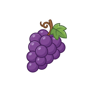 GRAPES ILLUSTRATION