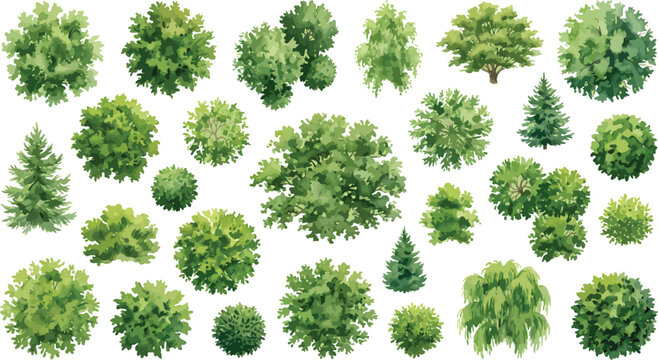 Watercolor tree top view set, architectural landscape plan symbols, 25 green garden plant icons for site mapping and masterplan design