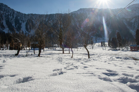 View of Arang Kel village covered in deep snow with bare trees and towering mountains under a bright sun in Arang Kel, Kashmir, Pakistan.
