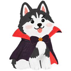 Cute Siberian Husky in Vampire Costume for Halloween © Penguin Kkim