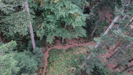 Baumwipfelweg Bayrischer Wald © RS.Foto