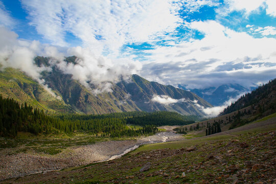 View of Rama Meadows featuring lush green pine forests, rocky terrain, and a winding stream under a cloudy sky in the mountains, Astore, Gilgit, Pakistan.