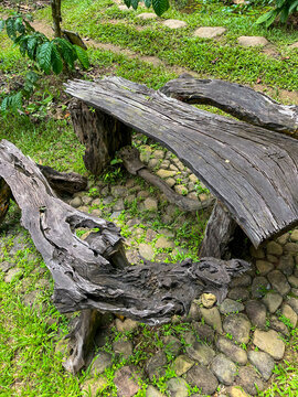 Weathered driftwood log with deeply carved grain and natural hollows, repurposed as a rustic garden bench and resting on lush green grass in a sunlit outdoor setting.