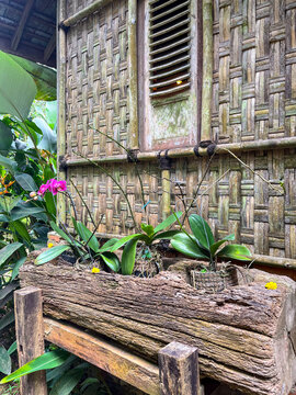 Rustic wooden trough planter holding green plants with a single pink flower, set against a woven bamboo wall with a louvered window in a tropical garden setting.