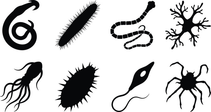 Parasite and microorganism silhouette set featuring tapeworm bacteria protozoa parasite organism flagellate spider mite vector design