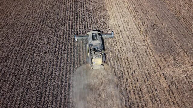 Combine harvester cuts mature sunflowers during field harvest, moving steadily along parallel crop rows. Overhead view reveals harvested ground, standing plants and dust trailing behind.