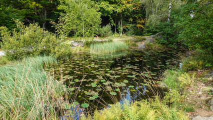 Baumwipfelweg Bayrischer Wald © RS.Foto