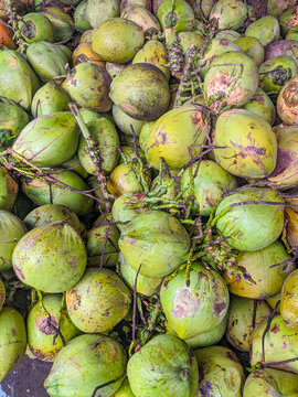 Pile of fresh young coconuts stacked closely together at a busy tropical roadside vendor stall, ready to be sold as refreshing coconut drinking water.
