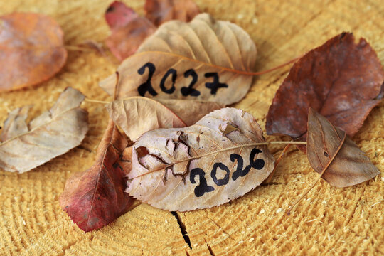 Laubbl&auml;tter auf einem Holz mit den Jahreszahlen 2026 und 2027 