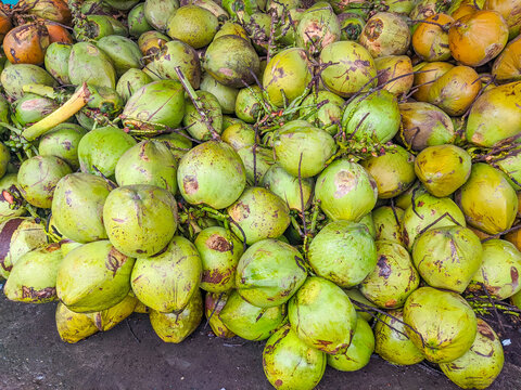 Pile of fresh young coconuts stacked closely together at a busy tropical roadside vendor stall, ready to be sold as refreshing coconut drinking water.