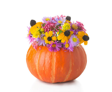 Festive autumn bouquet of colorful  flowers arranged inside a bright orange pumpkin used as a vase. Creative decoration with seasonal fall flowers  isolated on a white background.