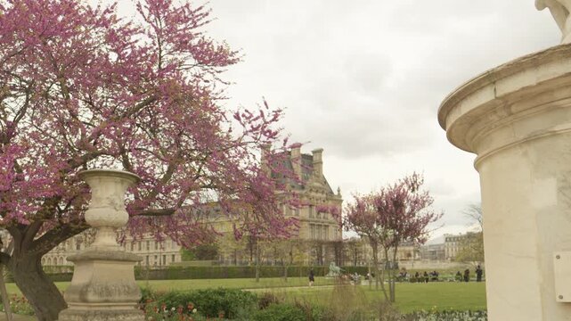 Tuileries Garden with Historic Louvre Palace and Classical Statue in Paris, France