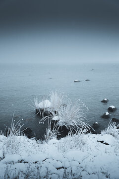 View of frozen reeds and snow-covered rocks along the icy coastline in winter, Toolse, Laane-Viru County, Estonia.