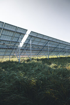 View of solar panels installed in a grassy field in Tartu County, Estonia.