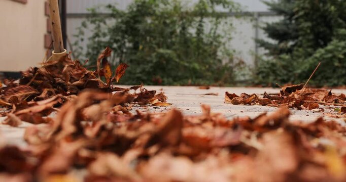Autumn cleaning of the territory near the house. Sweeping fallen leaves from yard tiles