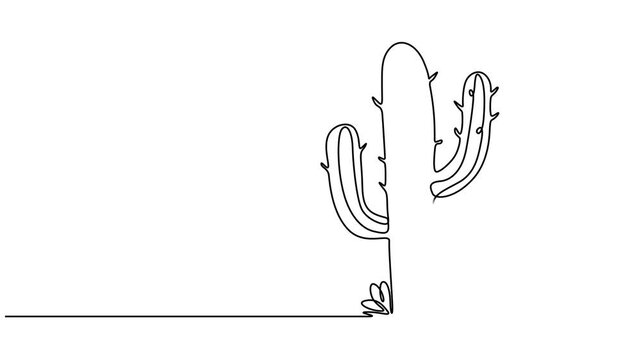 Animated self drawing of continuous line draw cute dry tropical thorny cactus plant. Printable decorative cacti houseplant concept, Abstract cactus, houseplant, Self drawing animation one continuous.
