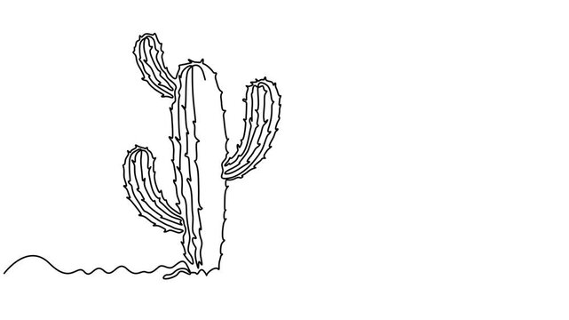 Animated self drawing of continuous line draw cute dry tropical thorny cactus plant. Printable decorative cacti houseplant concept, Abstract cactus, houseplant, Self drawing animation one continuous.