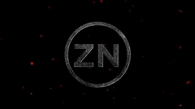 ZN Logo Animation Videos For Your Business 