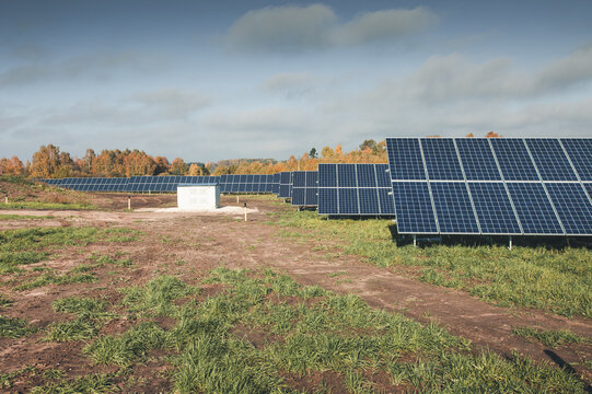 View of solar panels in a field with autumn trees in the background under a blue sky in Tartu County, Estonia.