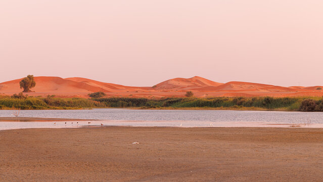 A wide landscape view of calm desert