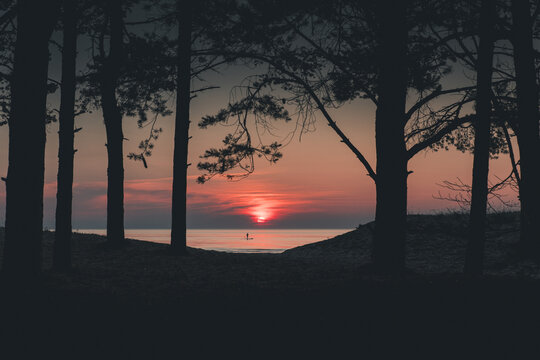 View of Andineeme beach at sunset with a person paddleboarding on the calm sea, framed by dark silhouettes of pine trees, Andineeme, Harju maakond, Estonia.