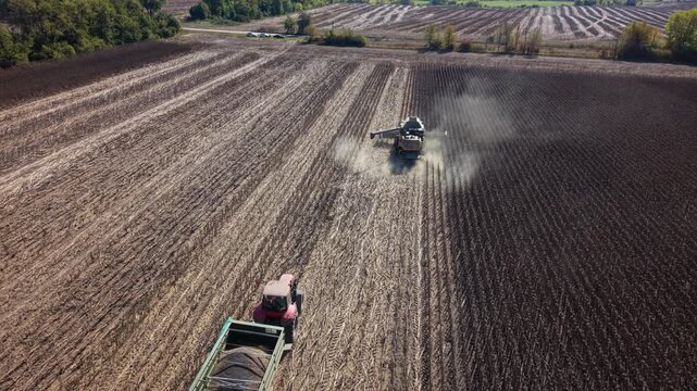 Combine harvester moves through harvested field during sunflower harvest, raising dust across parallel rows. Farm tractor and trailer follow nearby as machinery works over dry crop residue.
