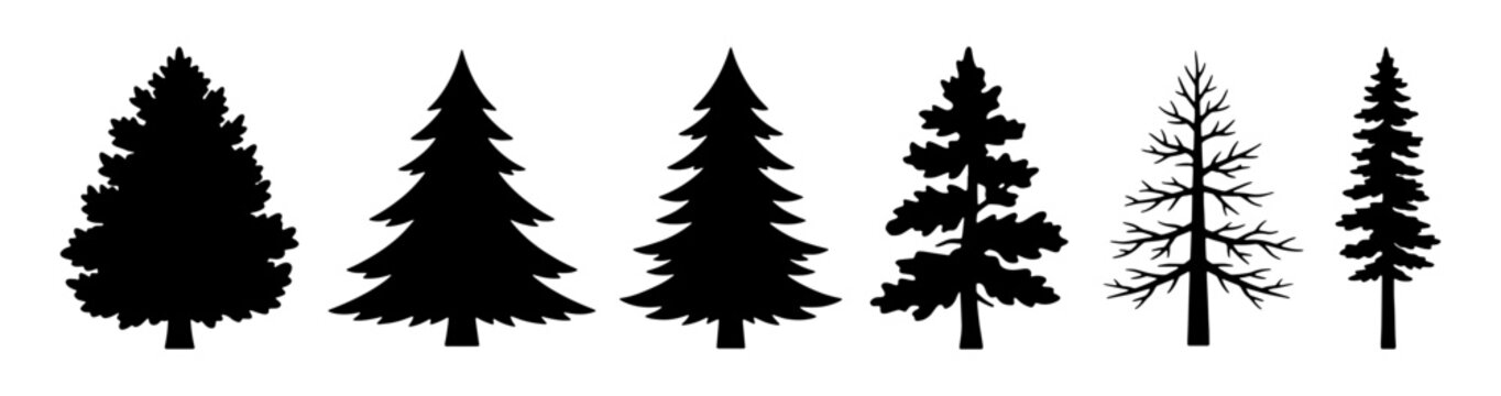 Pine tree silhouettes set featuring evergreen fir, spruce, conifer, and bare winter branches vector for logo, sticker, and print