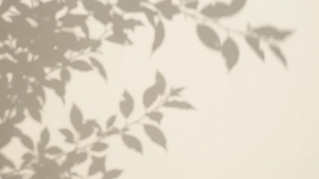 Soft leafy branch shadows dancing across beige wall surface creating aesthetic background for design placement.