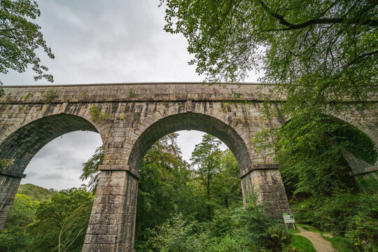 View of the historic stone arches of the Treffry Viaduct surrounded by lush woodland in the Luxulyan Valley, Luxulyan, Cornwall, United Kingdom.