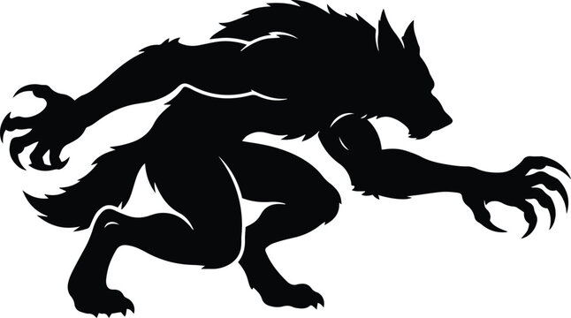 Fierce black and white vector silhouette of a crouched werewolf preparing to attack for dark fantasy monster creation projects