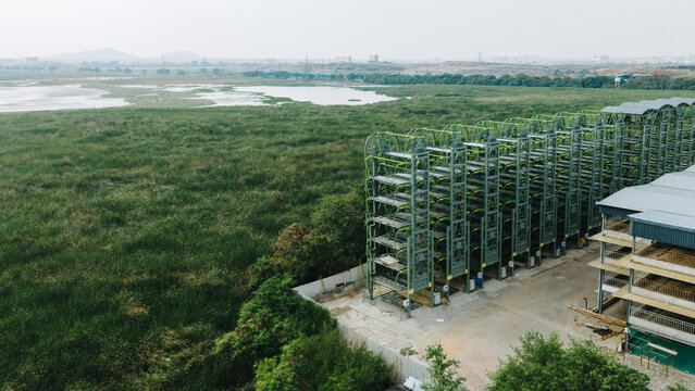 View of a vertical car parking system structure situated next to a sprawling green wetland area in India.