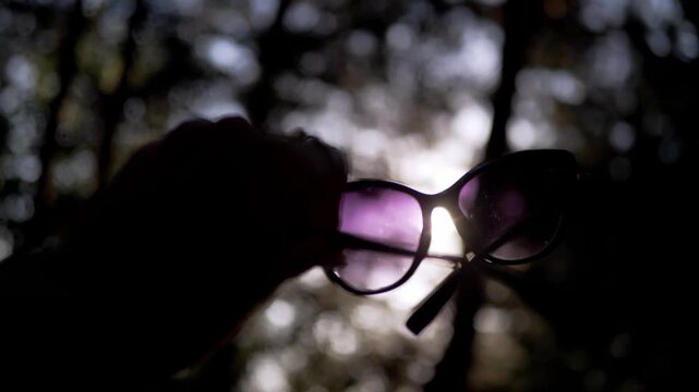 Hand holds stylish tinted sunglasses against backlighting trees in close-up. Vivid purple lenses catch bright solar flare for striking summer accessory storytelling.