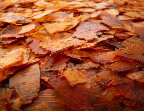 Translucent Amber Shellac Flakes Natural Resin Texture