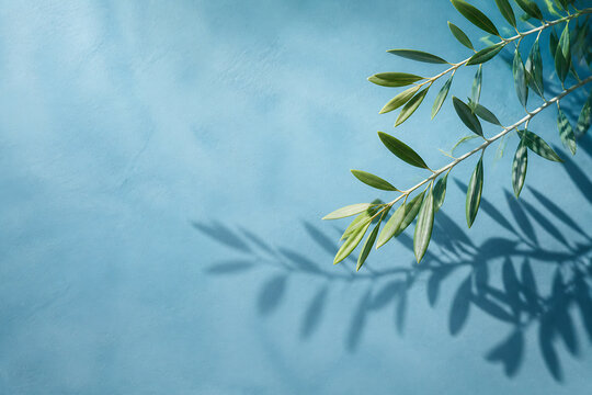 A sprig of green leaves casts a shadow against a light blue sky background.