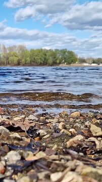 Nature landscape with rocky beach, clear water, waves and forest on the opposite bank. Ecology, outdoor recreation and travel concept. Early autumn. View from ground level to the riverbank