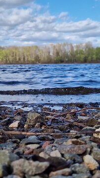 Riverbank with emphasis on rocky shore and blue water. Early autumn nature recreation. River or lake shore with small stones in the foreground. Calm day in nature. Vertical nature video
