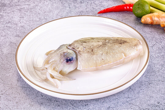 White ceramic plate with gold rim holding whole raw cuttlefish beside red chili lime ginger and lemongrass for seafood preparation