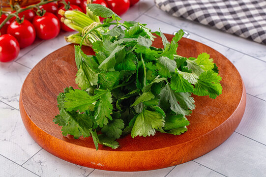 Wooden cutting board with fresh green cilantro leaves and stems, cherry tomatoes and celery in background, kitchen countertop setting, culinary herb preparation