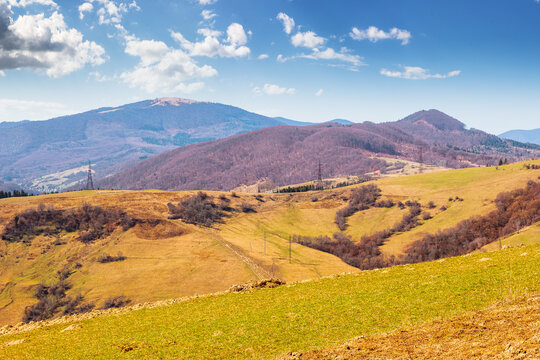 mountainous rural landscape of ukraine in spring. picturesque highland. grassy meadow on a sunny morning. carpathian countryside scenery with forest on a hill behind the pasture