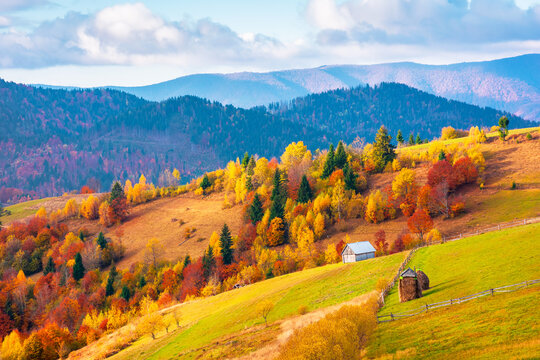 beautiful countryside of Ukraine. cloudy morning. wonderful autumnal landscape in mountains. grassy field and forested rolling hills. rural scenery