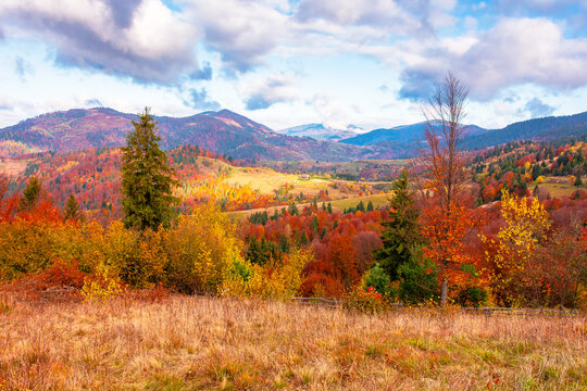 beautiful countryside of Ukraine. cloudy morning. wonderful autumnal landscape in mountains. grassy field and forested rolling hills. rural scenery
