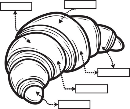 Croissant pastry with blank labels for text, vector illustration croissant day